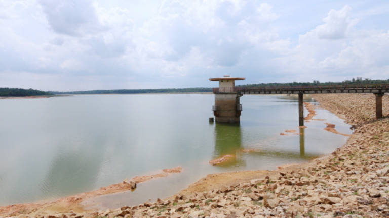 Buffer zones to be extended to stop water pollution in dam, catchment areas