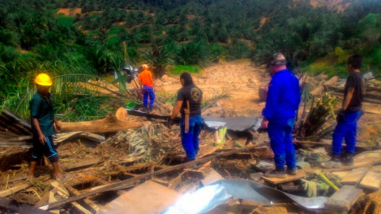 Bodies of three mud flood victims in Kinabatangan found