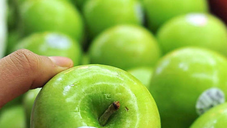 MOH seizes 19,960 Gala, Granny Smith apples in Sarawak