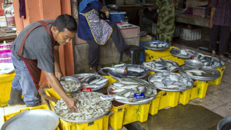 Prices of sea food in Kelantan rise during Ramadan