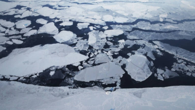Microplastics in Arctic sea ice