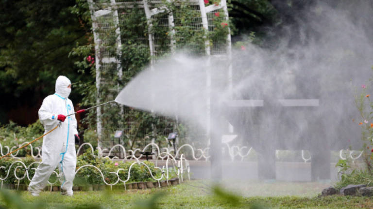 Japan confirms more dengue infections