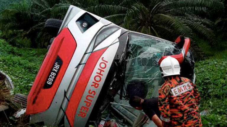 Express bus plunges into ravine