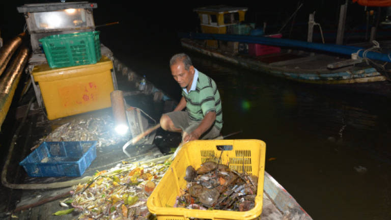 Less fish supply as fishermen stay away from sea due to high tide