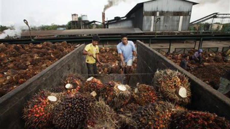 Malaysia's export of palm oil, related products could reach RM80b for 2018