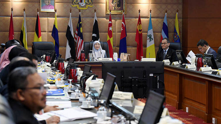 Cabinet to discuss proposed sugary drink excise tax: Wan Azizah