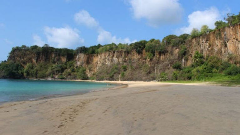 TripAdvisor members vote Brazilian oasis world's best beach