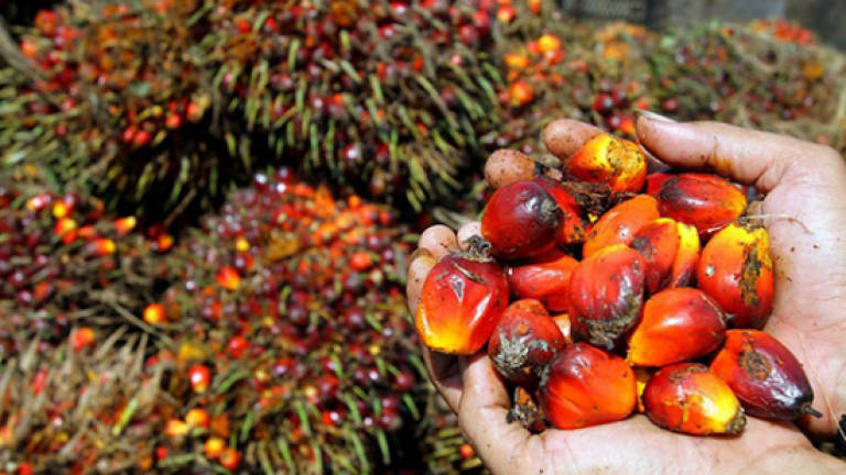 Palm-oil-based biodiesel to increase palm oil demand