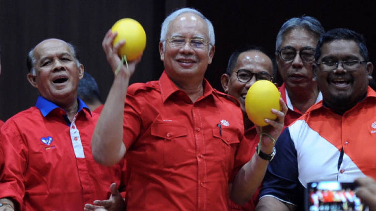 Fact-check opposition news articles: Najib