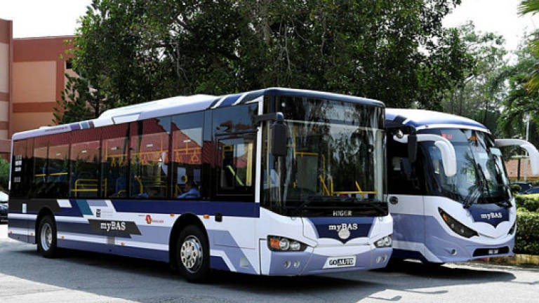 Bus operators mull free service on polling day
