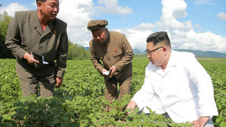 Did N. Korea's Kim put potatoes over Pompeo?