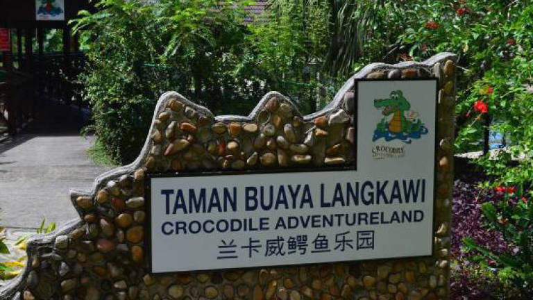 Glass-bottom bridge at Crocodile Adventureland Langkawi in the pipeline