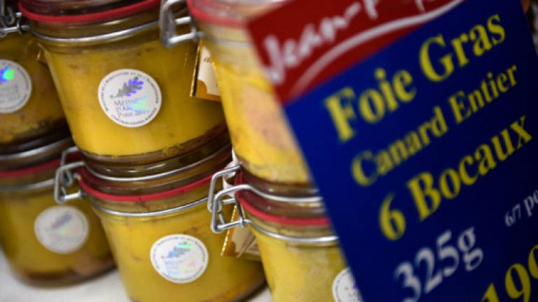 French foie gras industry struggling after bird flu scare