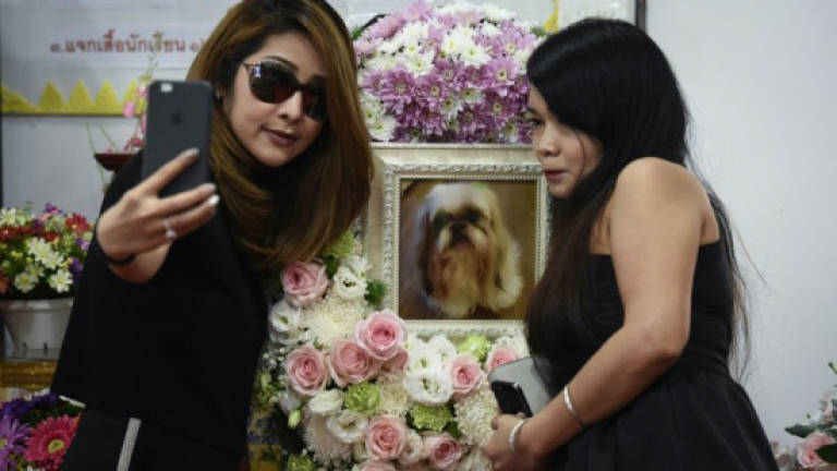 101 cremations: The rise of Bangkok's Buddhist pet funerals