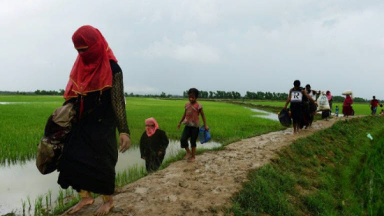 Rohingya militants declare one-month ceasefire: Twitter statement