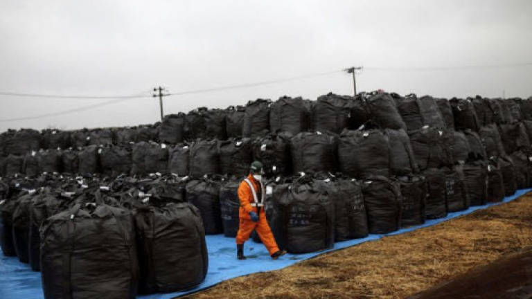 Japan firms used foreign trainees at Fukushima cleanup