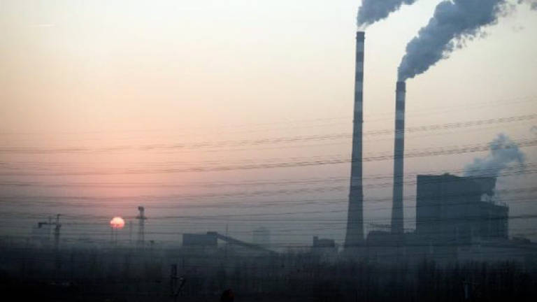 China encourages NGOs to sue in environmental oversight