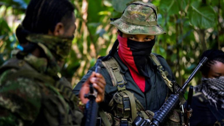 Colombia's ELN rebels free two kidnapped Dutch reporters