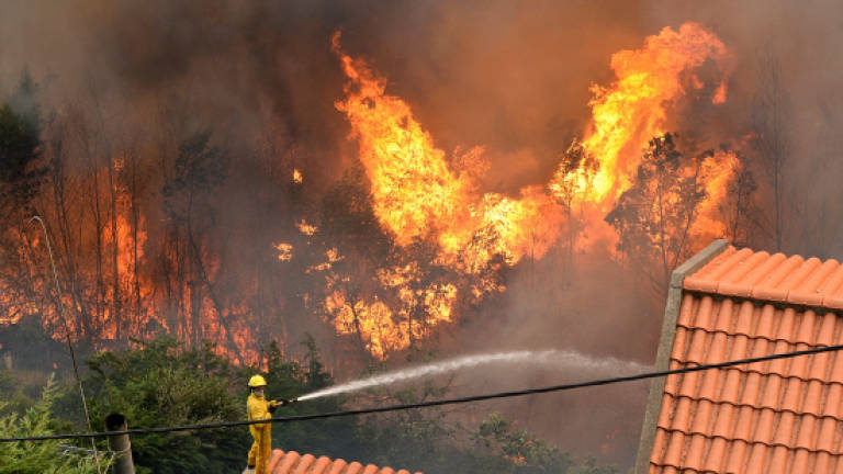 3 killed as fires ravage Madeira