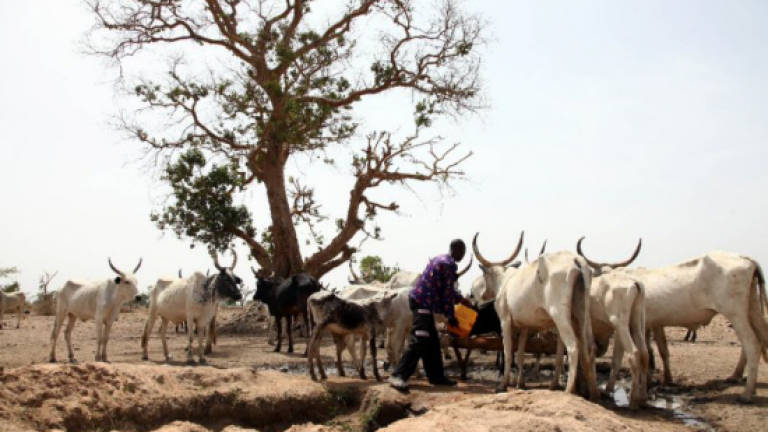Herders kill 'scores' in central Nigeria