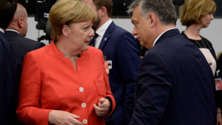 Say 'quiet prayer' for Merkel election win, PM tells Hungarians