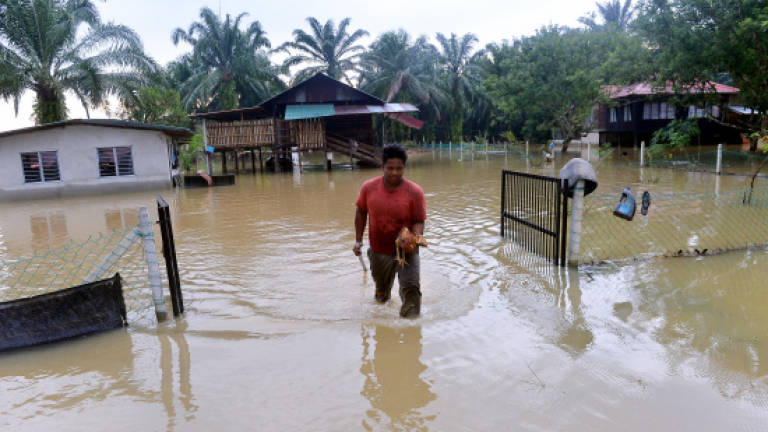 Number of flood victims in Perak on the rise