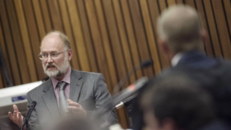 Prosecution pillories Pistorius expert