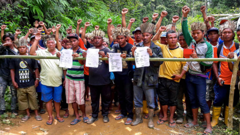 Gua Musang protesters liable to face action for blocking timber extraction