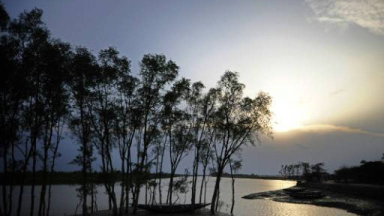 UNESCO urges Bangladesh to scrap Sundarbans plant