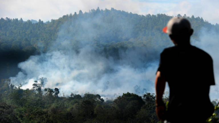 Activists slam giant Indonesian mill for environmental damage