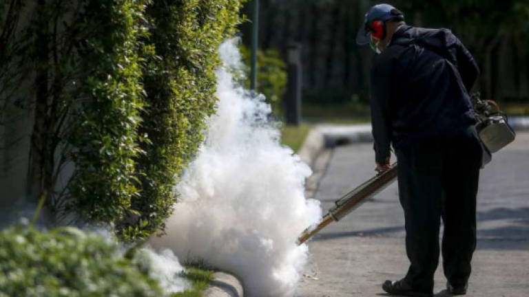 Thailand's health ministry says don't panic over Zika virus, as 2nd case is reported in 2016