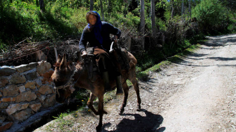 Dash for Bulgarian passports empties Albanian village