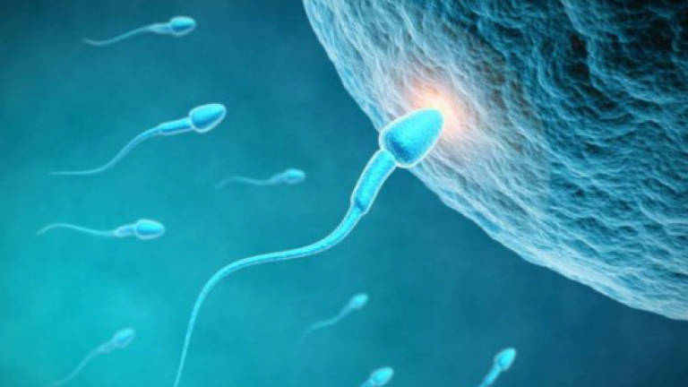 Sperm count falling sharply in developed world