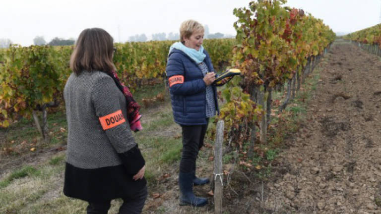 Hunting fraudsters in France's wine heartland