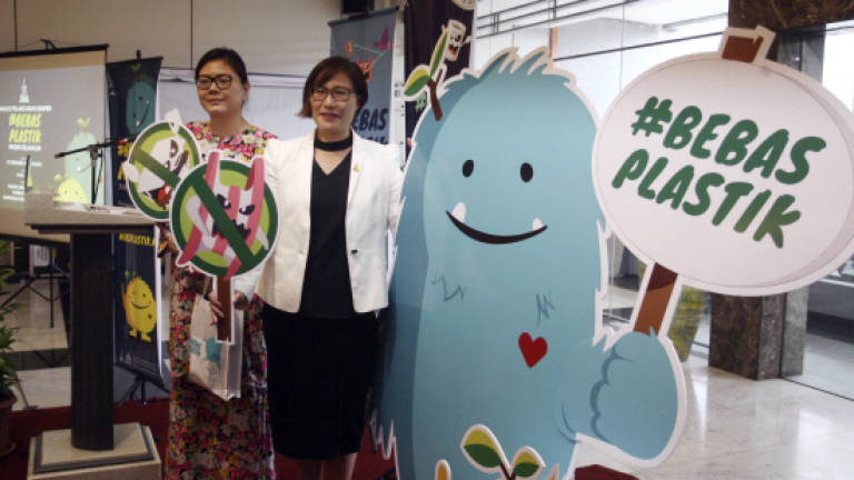 Observations show Selangor's no to plastic bags and polystyrene is successful
