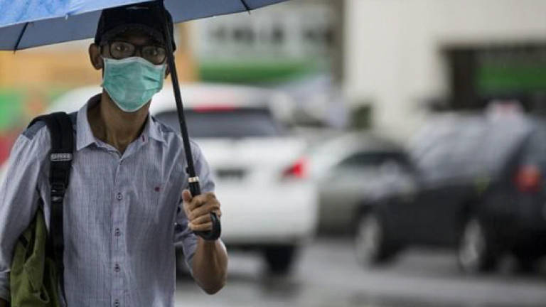 Myanmar seeks WHO help with deadly swine flu outbreak