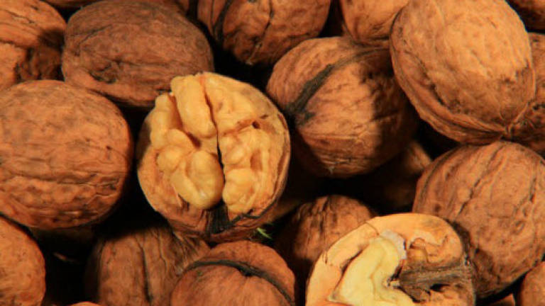 Add walnuts to your diet to improve cholesterol levels finds new study