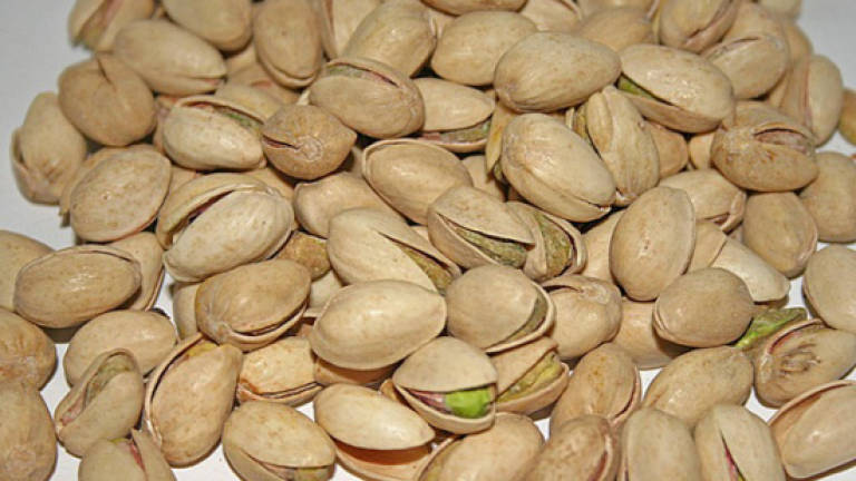 Going nuts? Turkey looks to pistachios to heat new eco-city