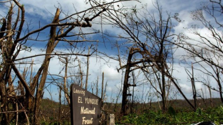 Puerto Rico's hurricane-wracked environment faces long recovery