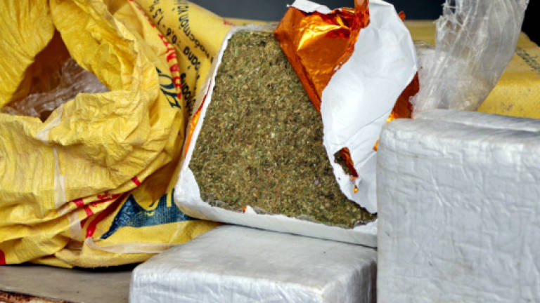 Malaysian man arrested in Danok with 520kg of cannabis