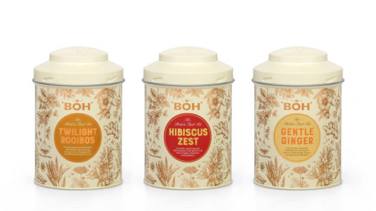 Teas of extraordinary Boh flavours