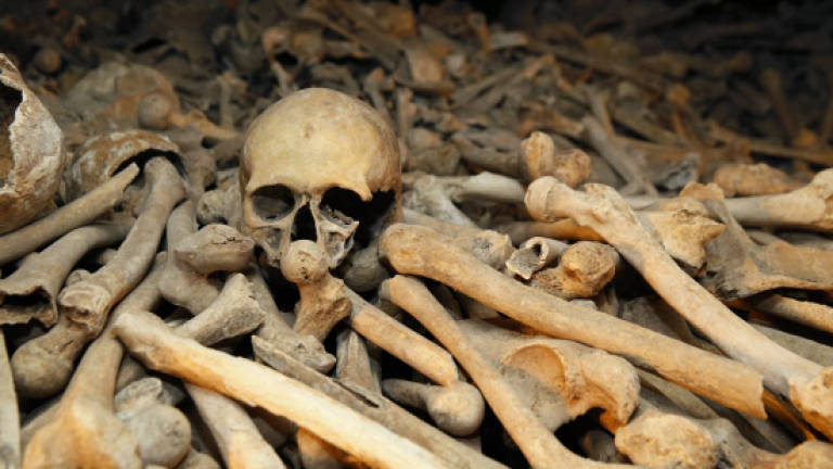 'Empire of the dead': Paris' Catacombs still entice visitors
