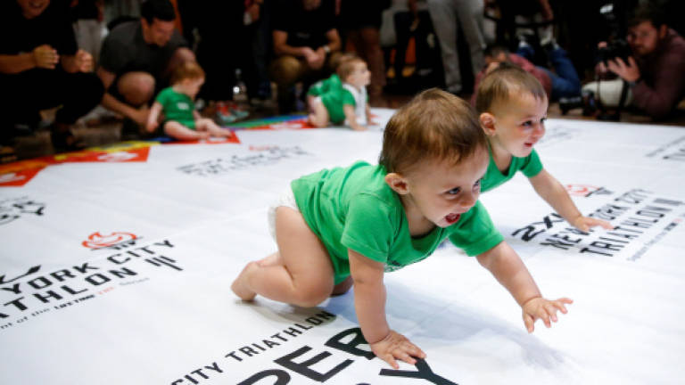 NY baby race: On your marks, get set, crawl!