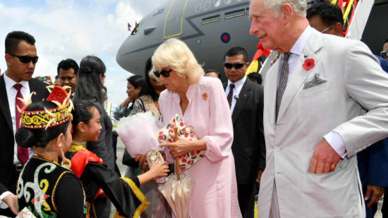 Duchess of Cornwall meets representatives of Purple Lily