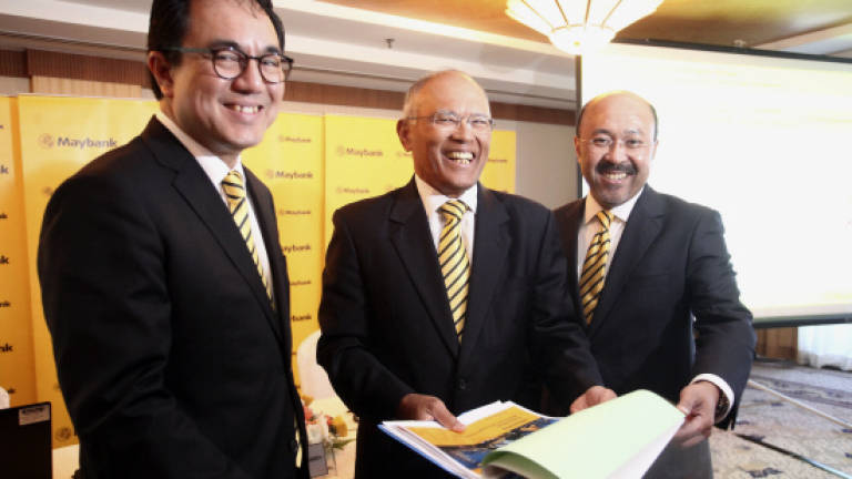 Maybank sets 8%-9% loan growth target for 2016