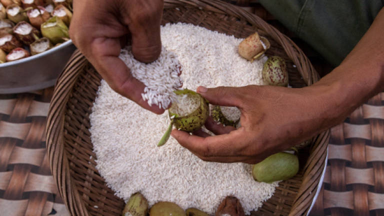 Chemistry department confirms Rambutan brand rice as genuine
