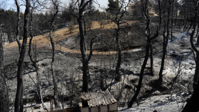 High winds hamper Greek firefighting efforts