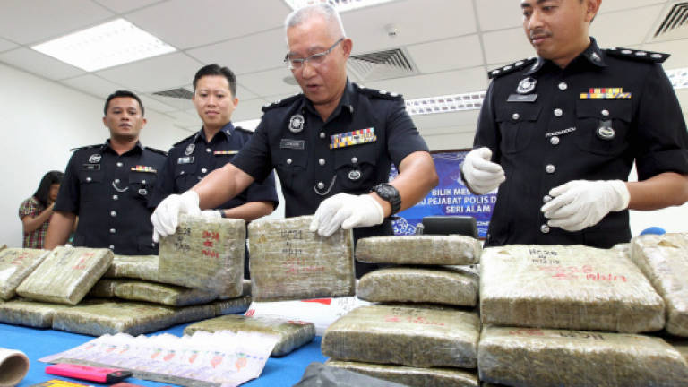 Ganja worth RM180,000 seized from Pasir Gudang couple (Updated)