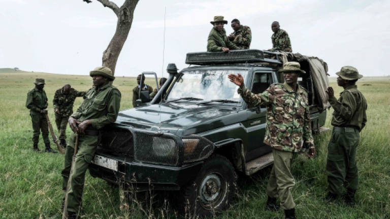 In Kenya, anti-poaching dogs are wildlife's best friends