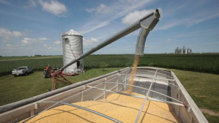 US farmers stressed, angry at trade wars